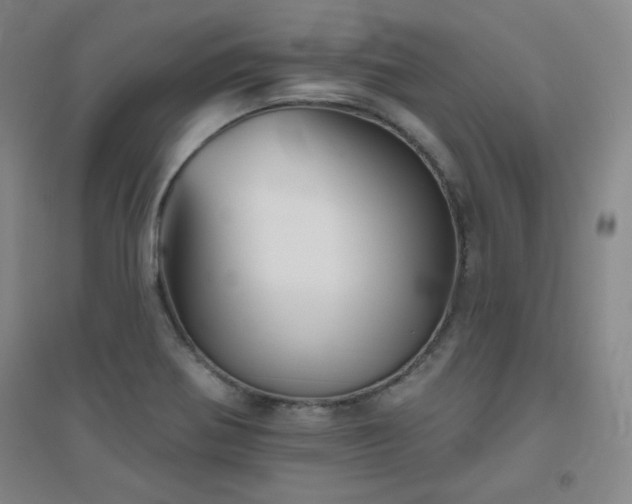 X0000094791370200711161423