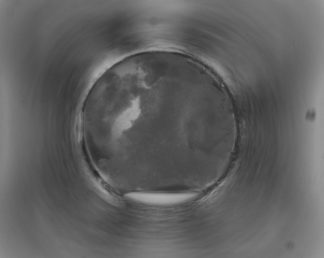 X0000094791371200711161423