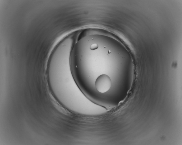 X0000094791372200711161423