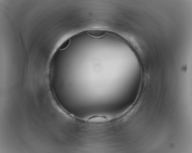 X0000094791374200711161423