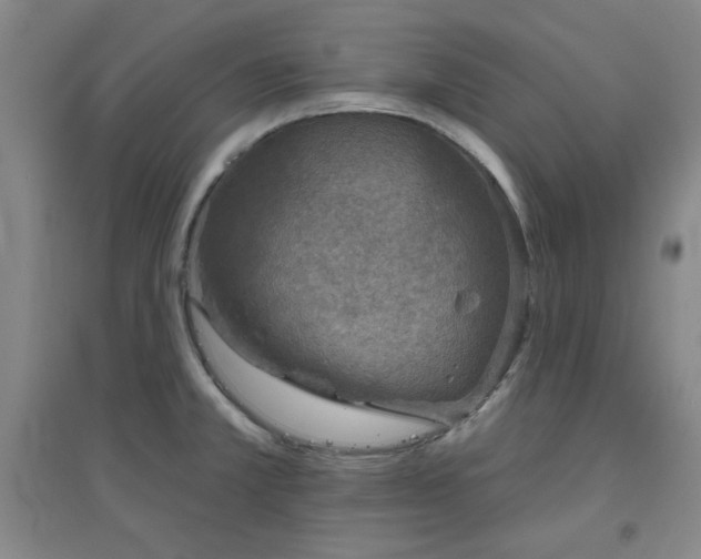 X0000094791381200711161423