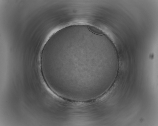 X0000094791382200711161423