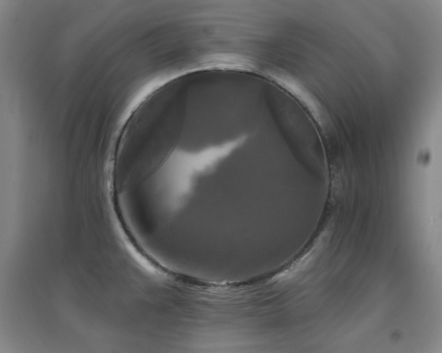 X0000094791383200711161423