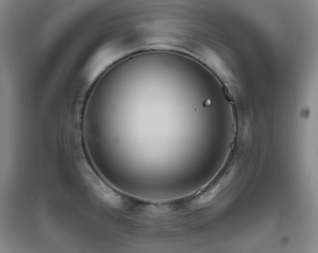 X0000094791384200711161423