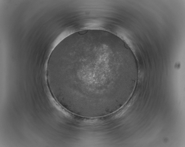 X0000094791386200711161423