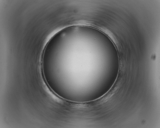 X0000094791387200711161423