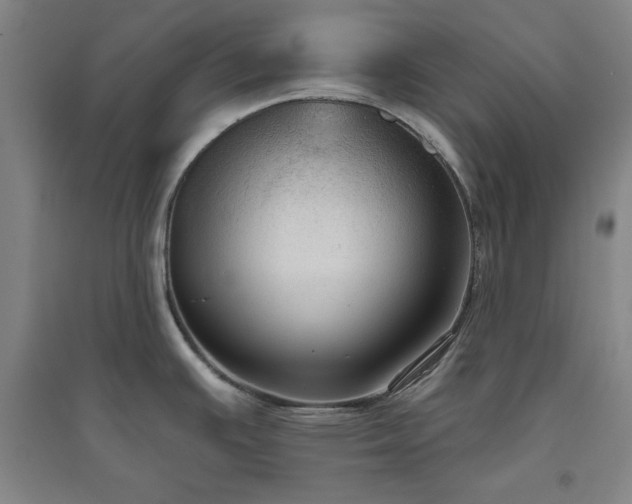 X0000094791391200711161423