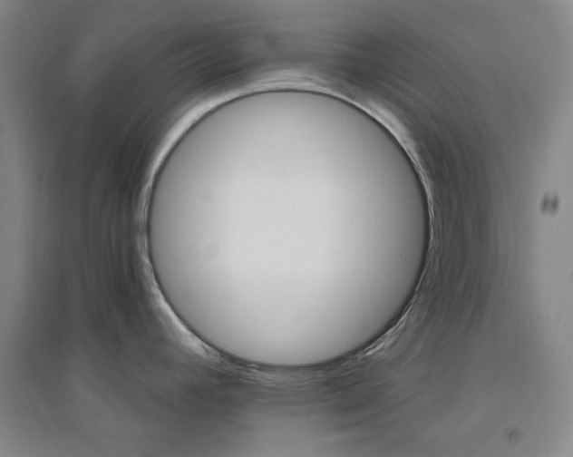 X0000094791392200711161423