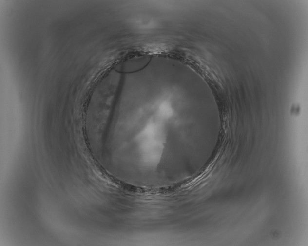 X0000094791393200711161422