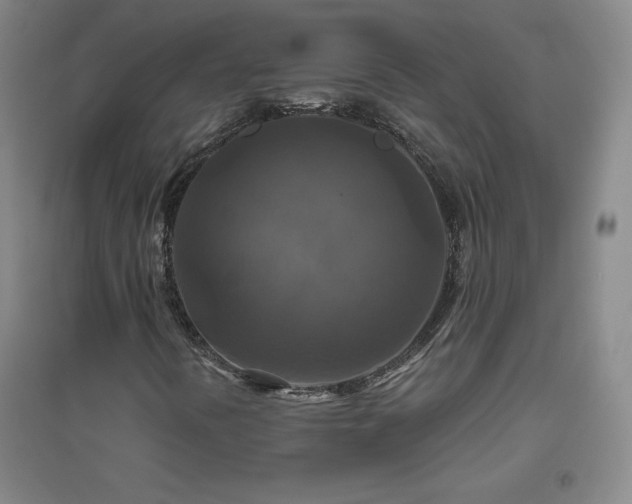 X0000094791394200711161422