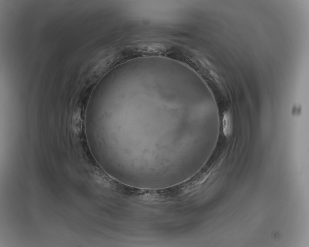 X0000094791395200711161422