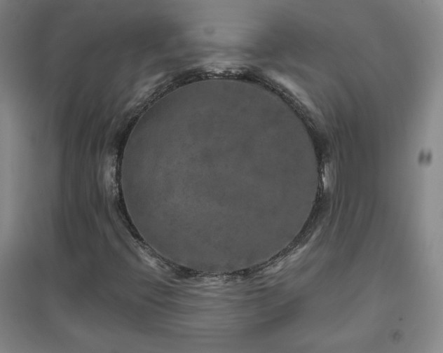X0000094791396200711161422