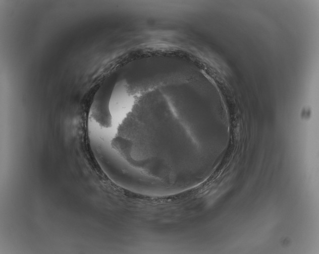 X0000094791397200711161422