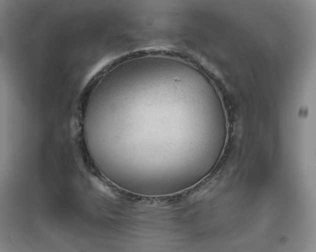 X0000094791400200711161422