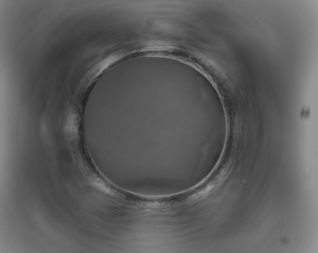 X0000094791401200711161422