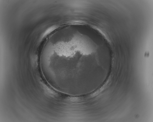 X0000094791402200711161422