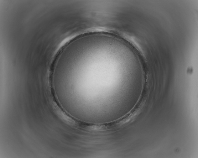 X0000094791404200711161422