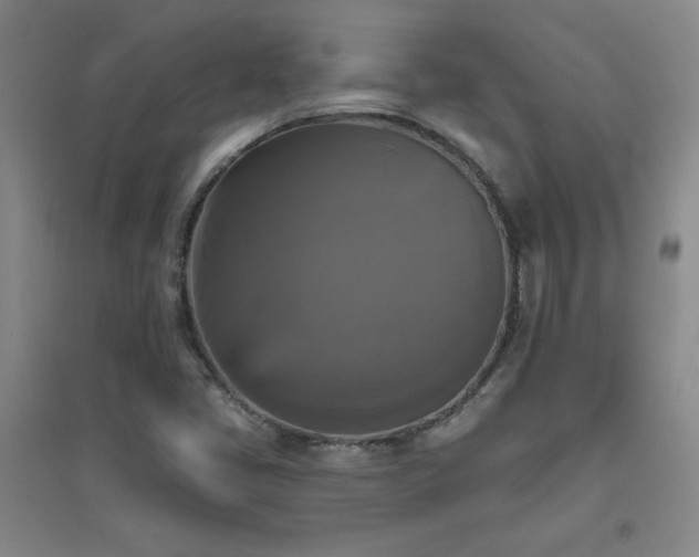 X0000094791405200711161422