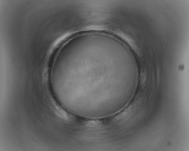 X0000094791406200711161422