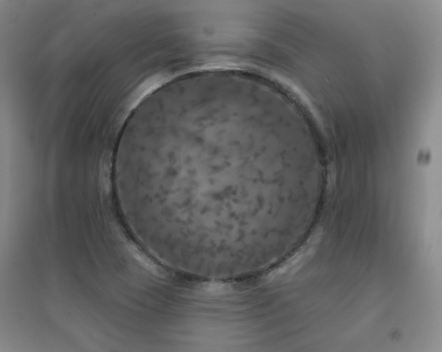 X0000094791409200711161423