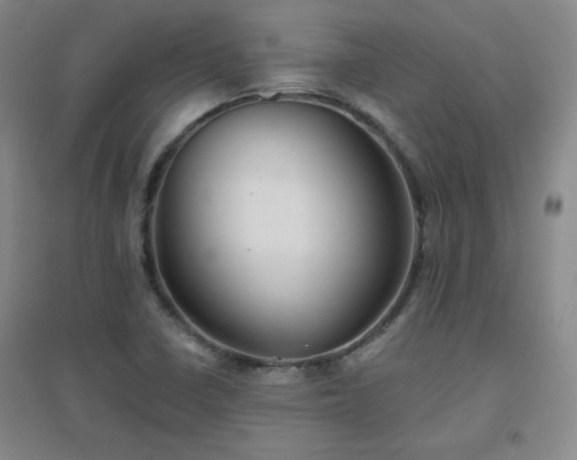 X0000094791410200711161423