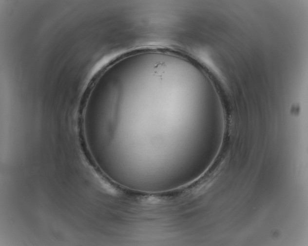 X0000094791412200711161423