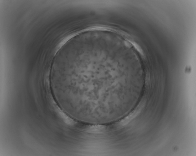 X0000094791417200711161423