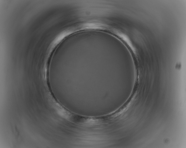 X0000094791419200711161423
