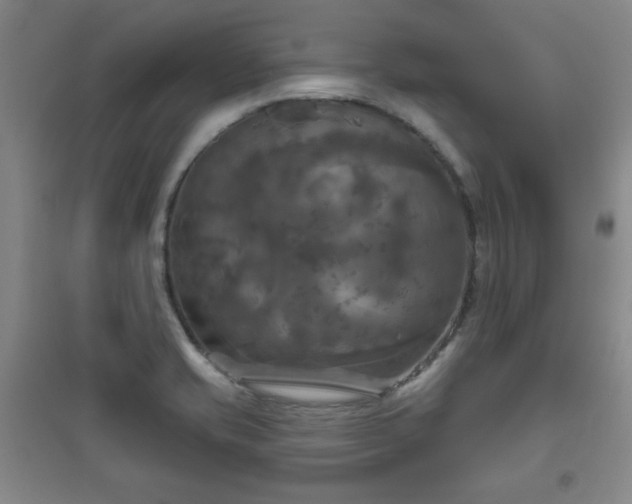 X0000094791421200711161423