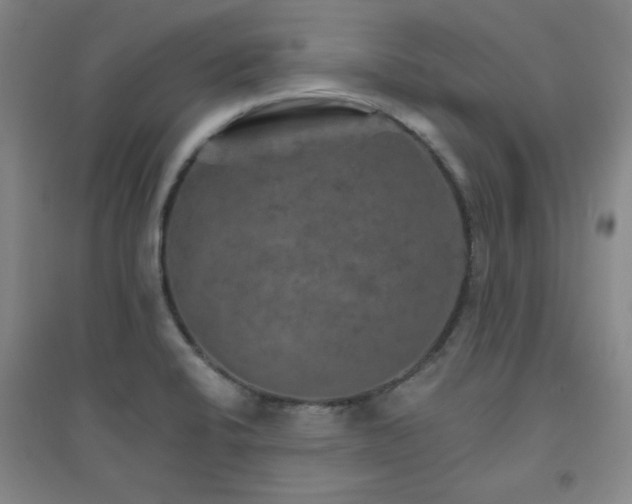 X0000094791424200711161423