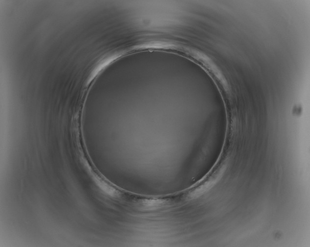 X0000094791425200711161423