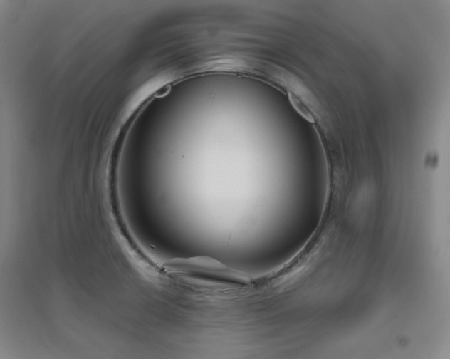 X0000094791426200711161423