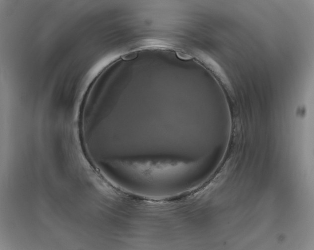 X0000094791427200711161423