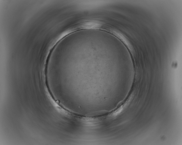 X0000094791434200711161423