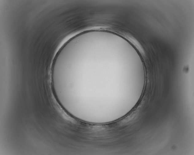 X0000094791436200711161423