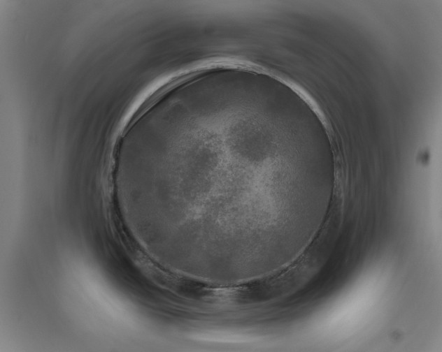 X0000094791438200711161423