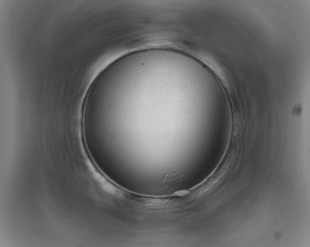 X0000094791439200711161423