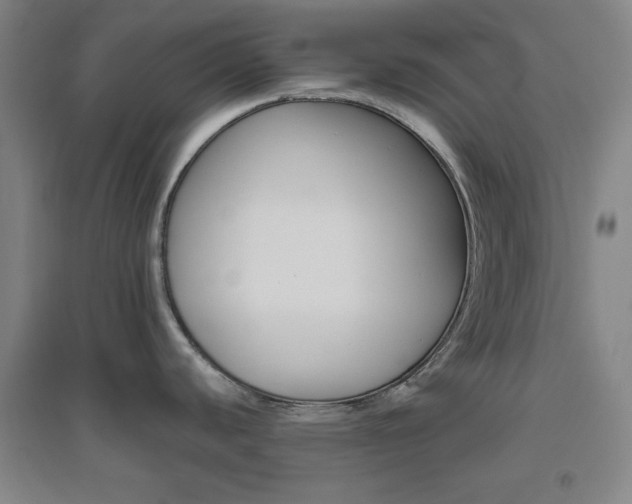 X0000094791440200711161423