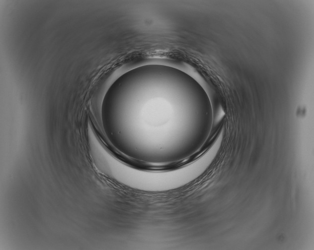X0000094791441200711161422
