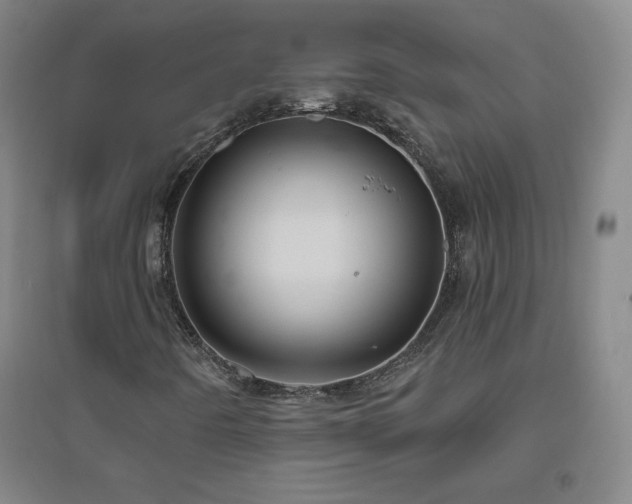 X0000094791442200711161422