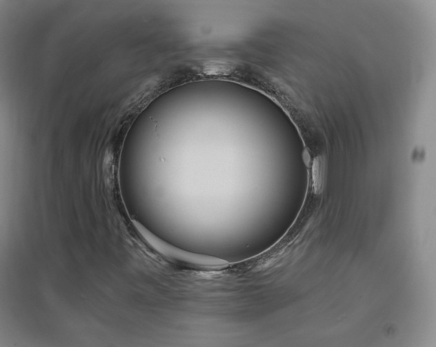 X0000094791443200711161422