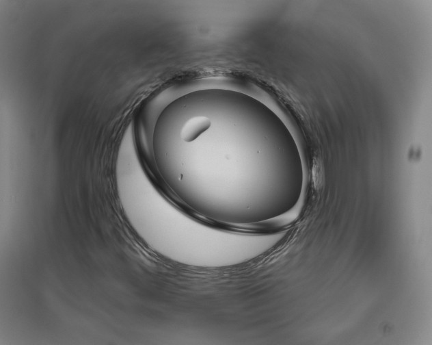X0000094791444200711161422