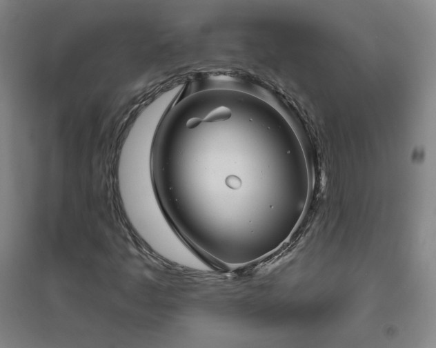 X0000094791445200711161422