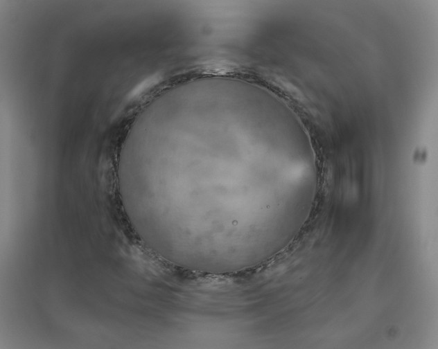 X0000094791446200711161422