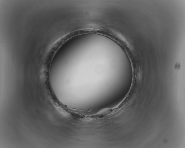 X0000094791448200711161422