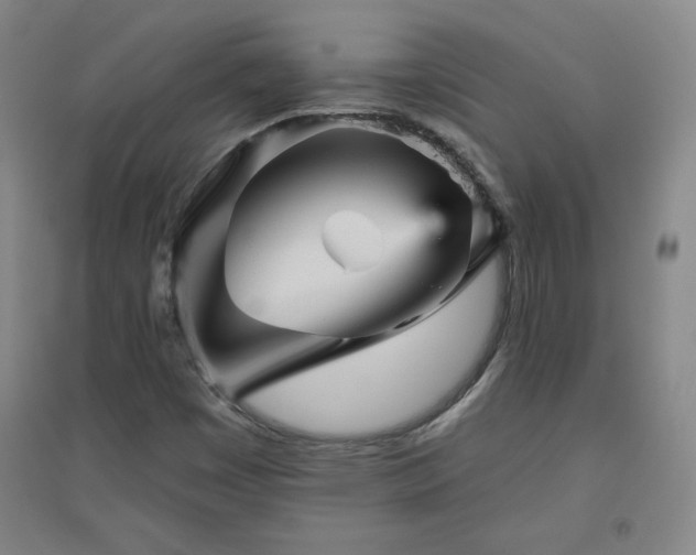 X0000094791449200711161422