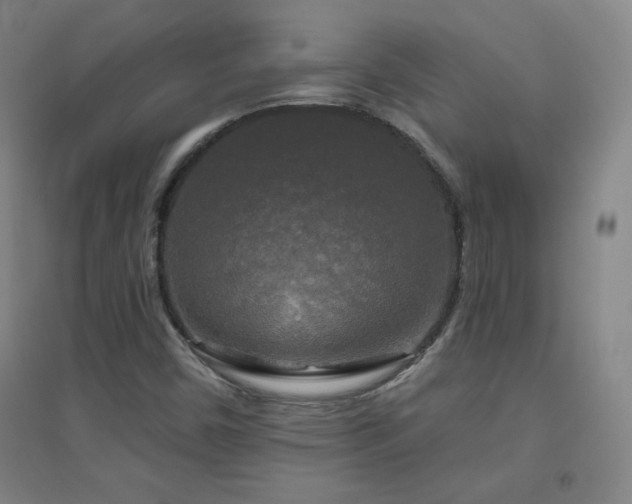X0000094791450200711161422
