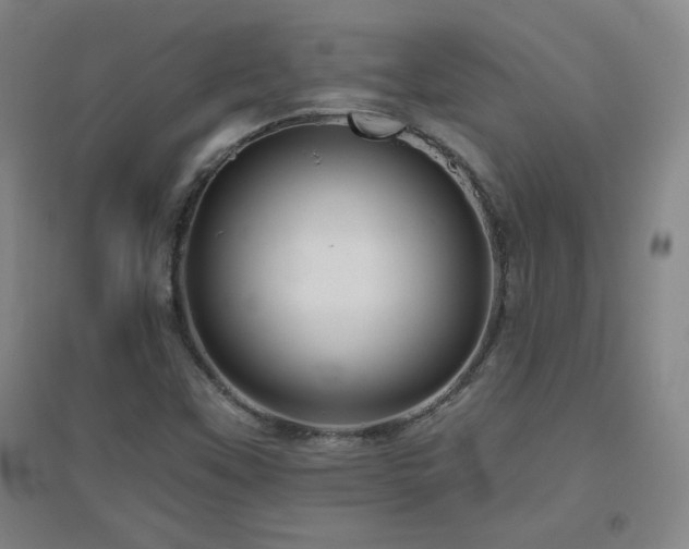 X0000094791451200711161422