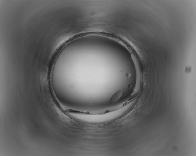 X0000094791452200711161422