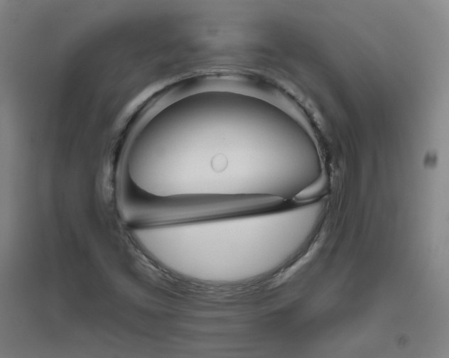 X0000094791453200711161422